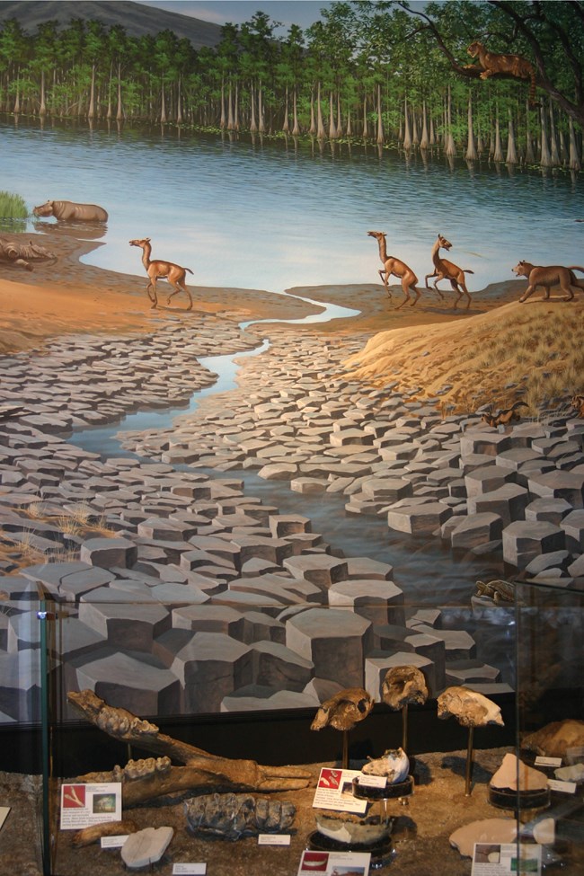 JODA mural@10x painted mural of prehistoric landscape with columnar basalt and animals