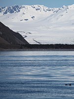 Kenai Fjords National Park.