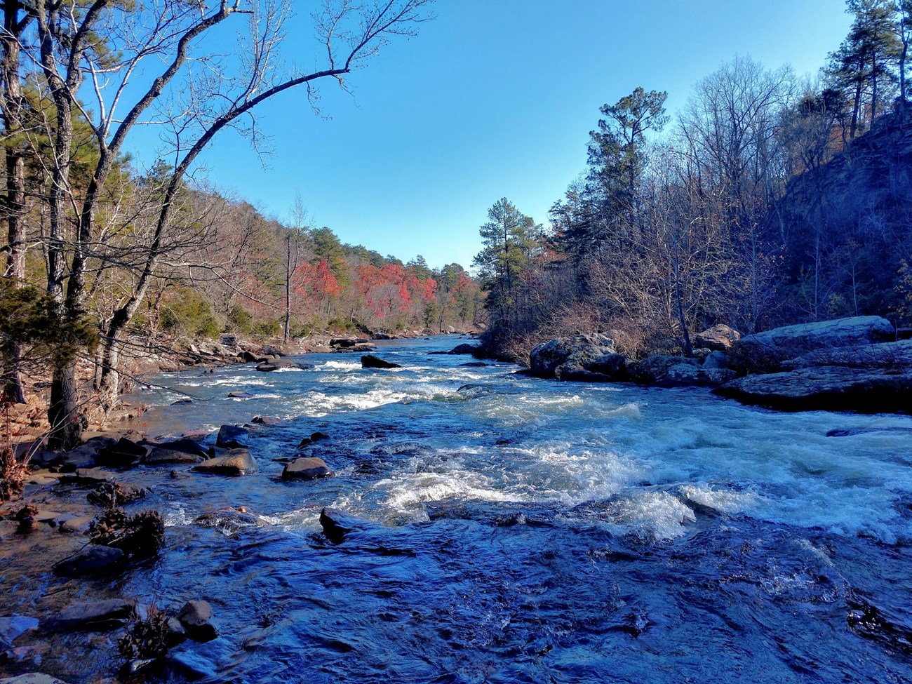 LIRI CUPN Below Little River Falls, Little River becomes rock-strewn as it slices into the sandstone forming Little River Canyon.