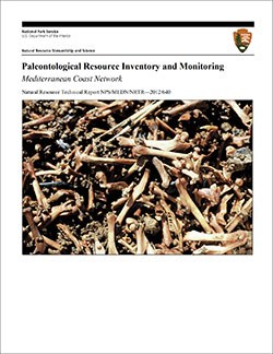 thumbnail image of the cover of a geologic report