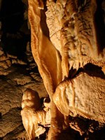 Mammoth Cave National Park