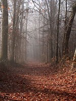 Natchez Trace Parkway