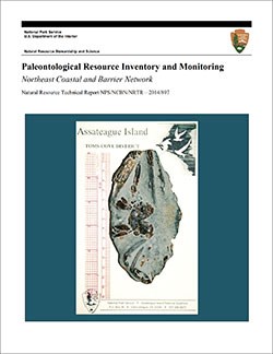 thumbnail image of the cover of a geologic report