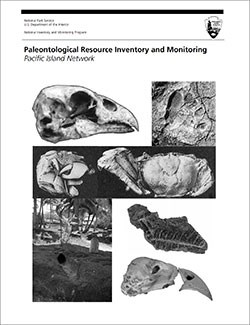 thumbnail image of the cover of a geologic report