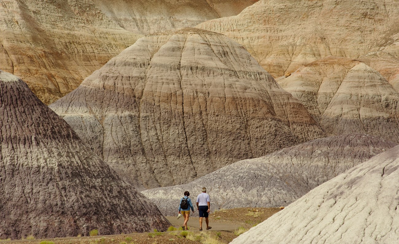 Visitors Enjoying the Blue Mesa Trail