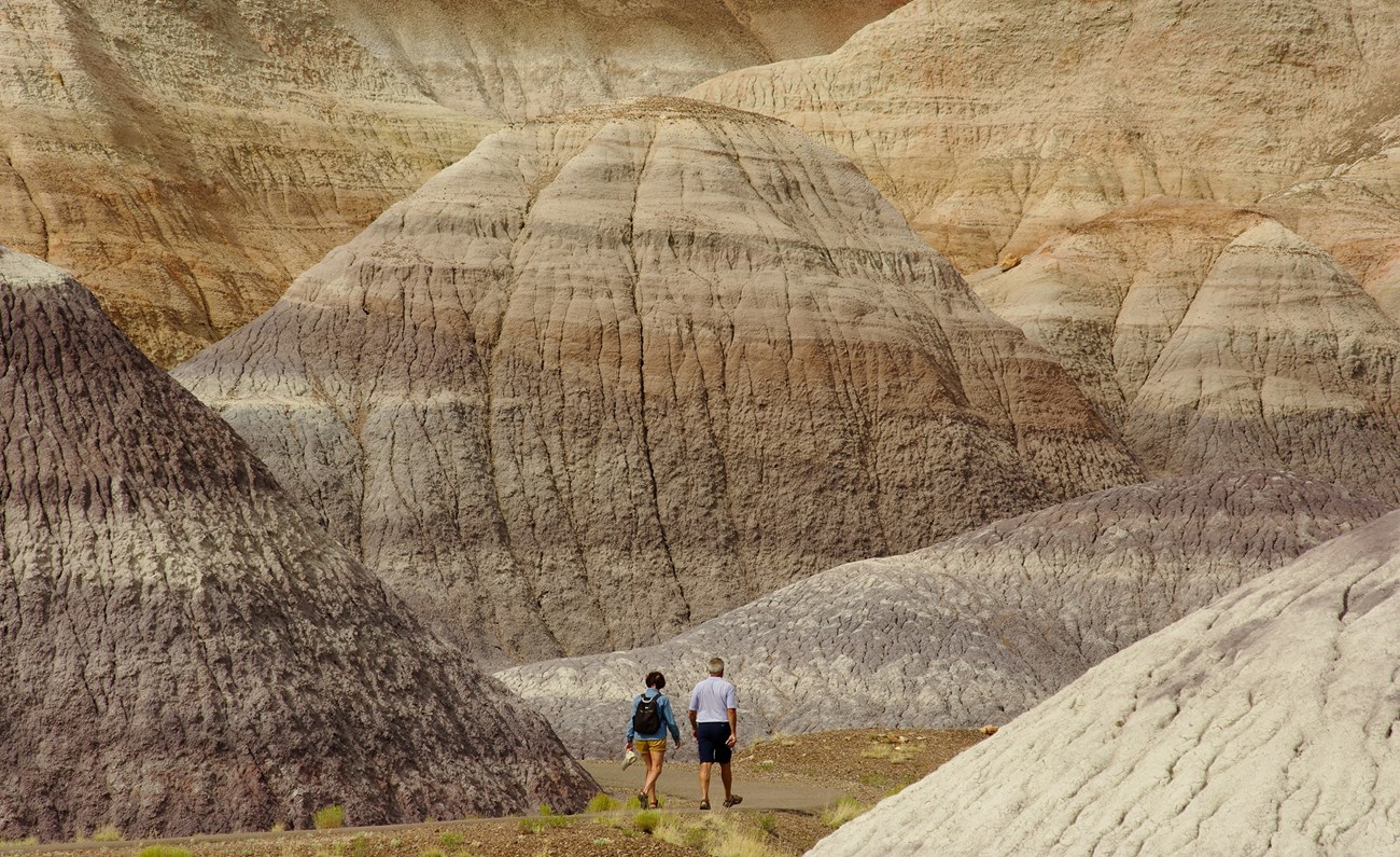 PEFO Visitors Enjoying the Blue Mesa Trail nps photo_crop Visitors Enjoying the Blue Mesa Trail