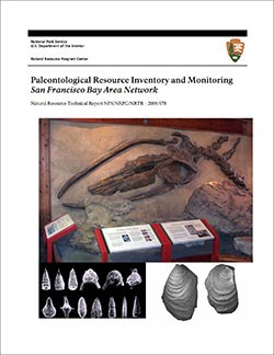 thumbnail image of the cover of a geologic report