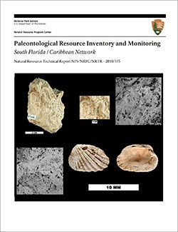 thumbnail image of the cover of a geologic report