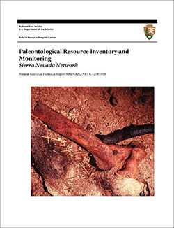 thumbnail image of the cover of a geologic report