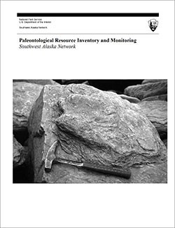 thumbnail image of the cover of a geologic report