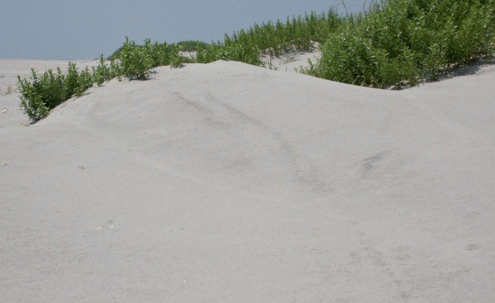 sand dunes