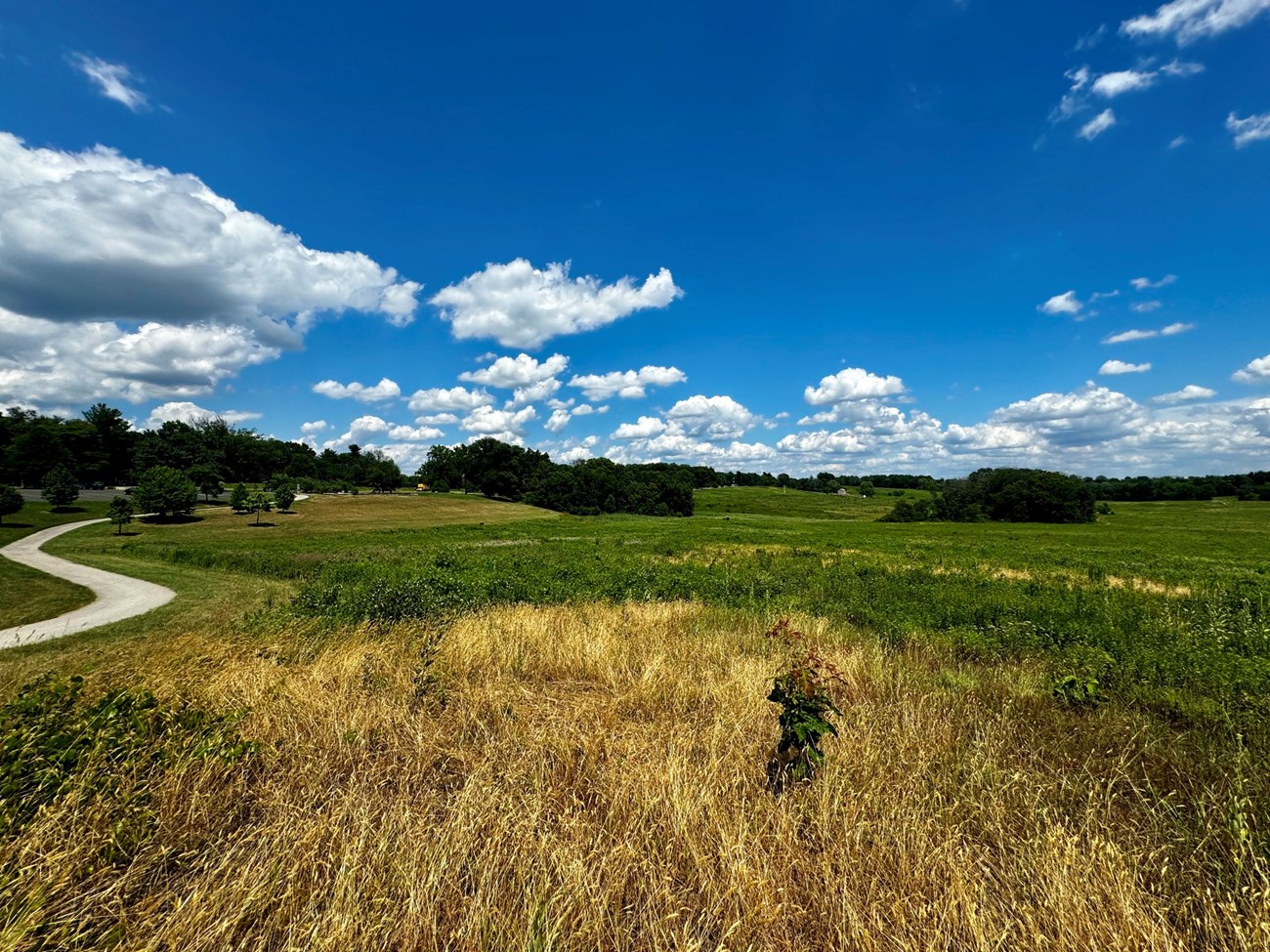 VAFO MIDN Open Grassland at the Grand Parade in Valley Forge National Historical Park