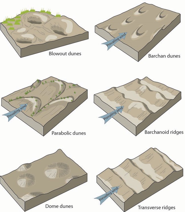 aeolian (dunes) landforms geology (u.s. national park service) 