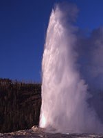 Old Faithful in Yellowstone National Park