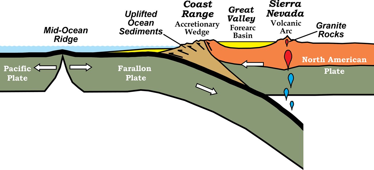 diagram of subduction zone with accretionary wedge, forarc basin, and volcanic arc