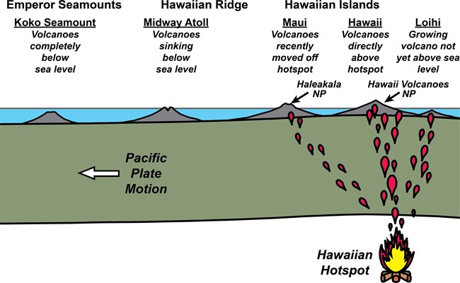 diagram of Hawaiian volcanoes; emperor seamounts, koko seamount-volcanoes completely below sea level; hawaiian ridge, midway attol-volcanoes sinking below sea level; hawaiian islands; maui-volcanoes recently moved off hotspot, hawaii volcanoes-above hotsp