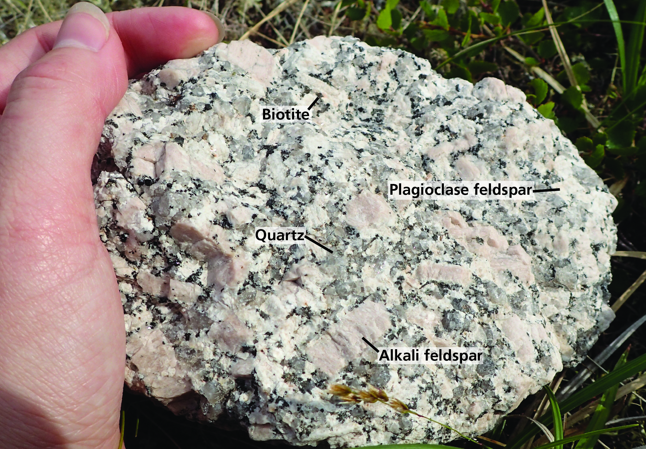 types of igneous rocks chart