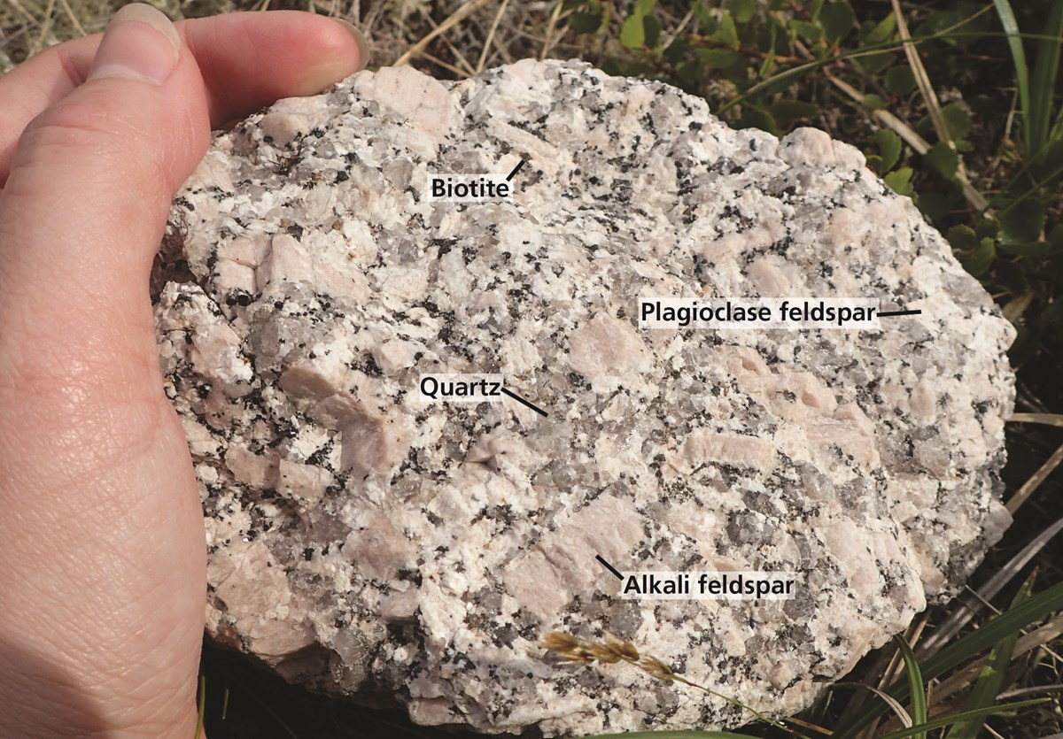 Photograph of a hand holding a piece of white-pink granite with black inclusions. The granite consists of large crystals of different minerals which are labeled, including biotite, quartz, plagioclase feldspar, and alkali feldspar.