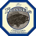 fossils sticker 150 photo illustration with text discover fossils
