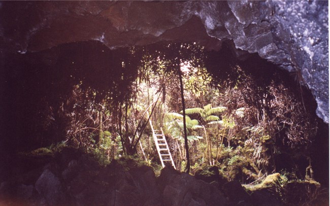 havo pua poo lava tube@10x entrance to lava tube