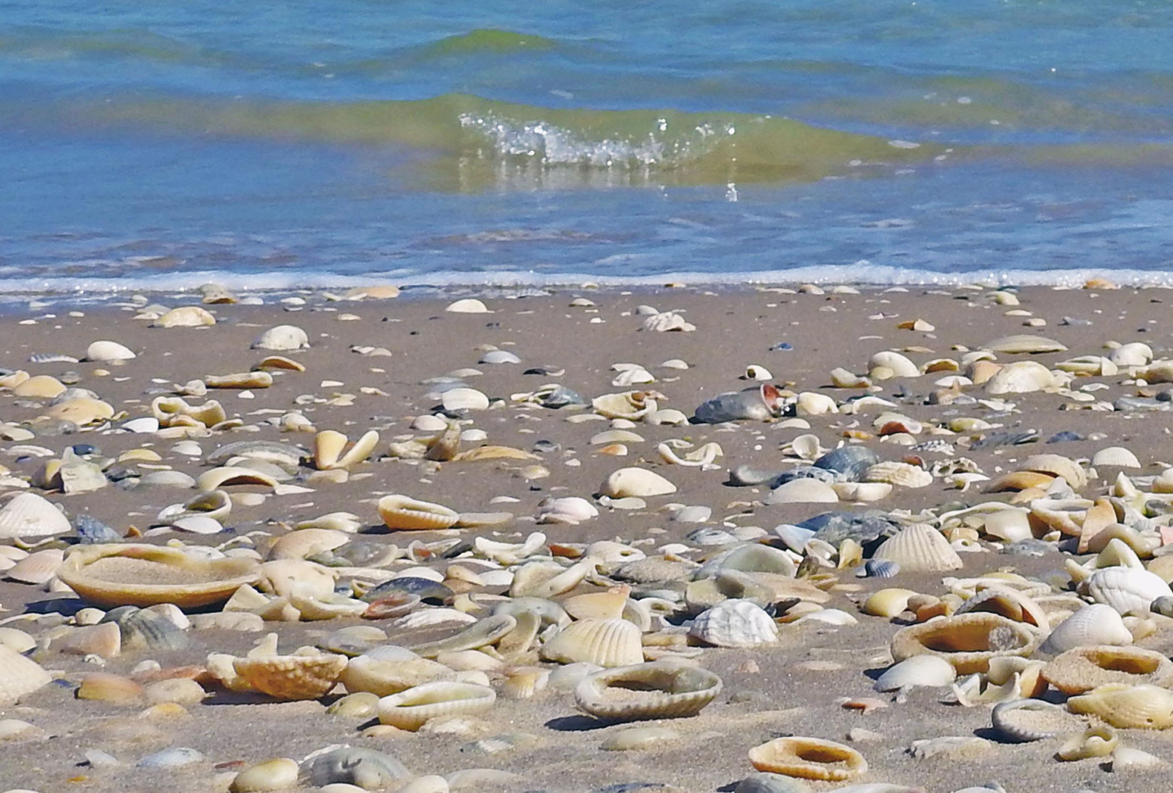 Beach Materials Geology (U.S. National Park Service)