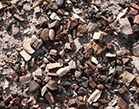 petrified wood pile petrified wood pile