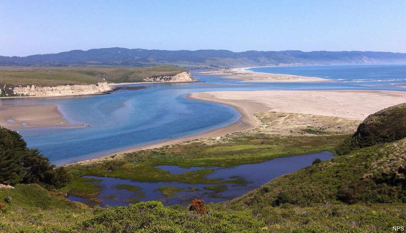 beach and coastal wetlands