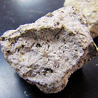 lt= rhyolite porphyry