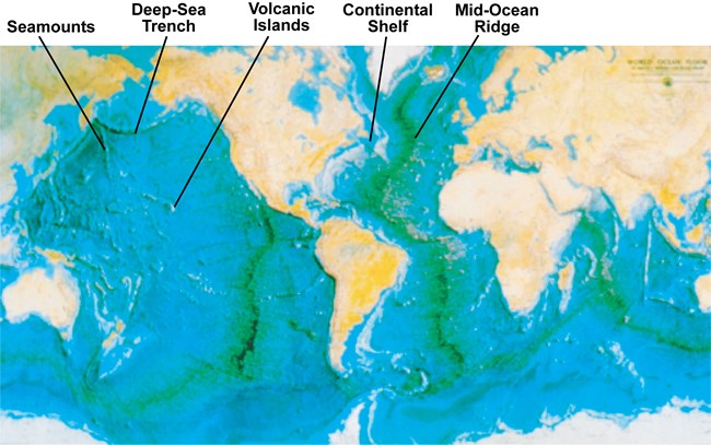world map showing seafloor topography