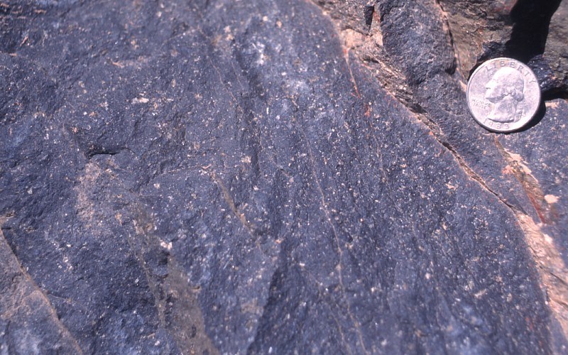 Photo of a rock surface close-up with a quarter for scale.