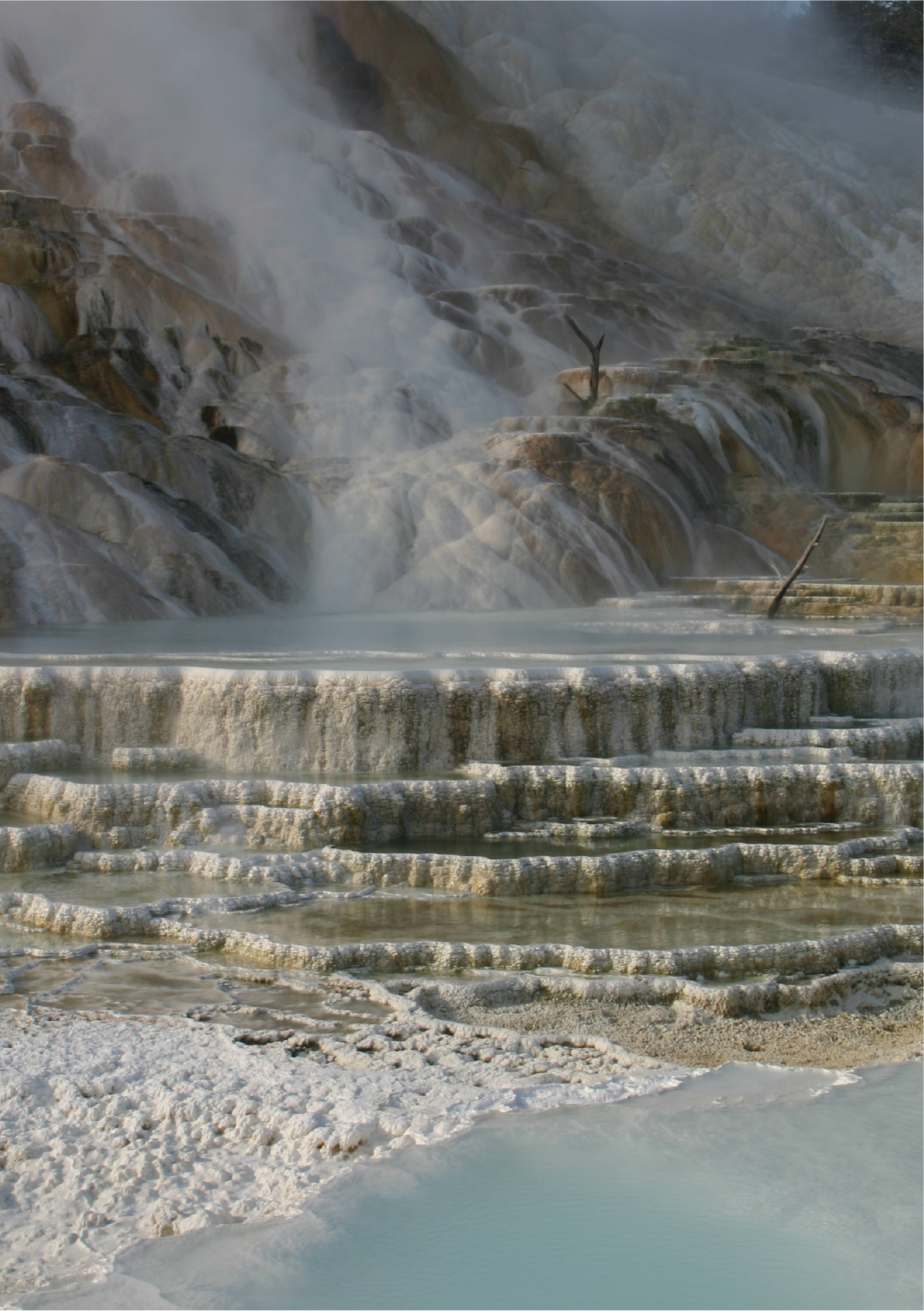 yell hydrothermal feature mammoth hot springs@10x hot spring pools and terrace