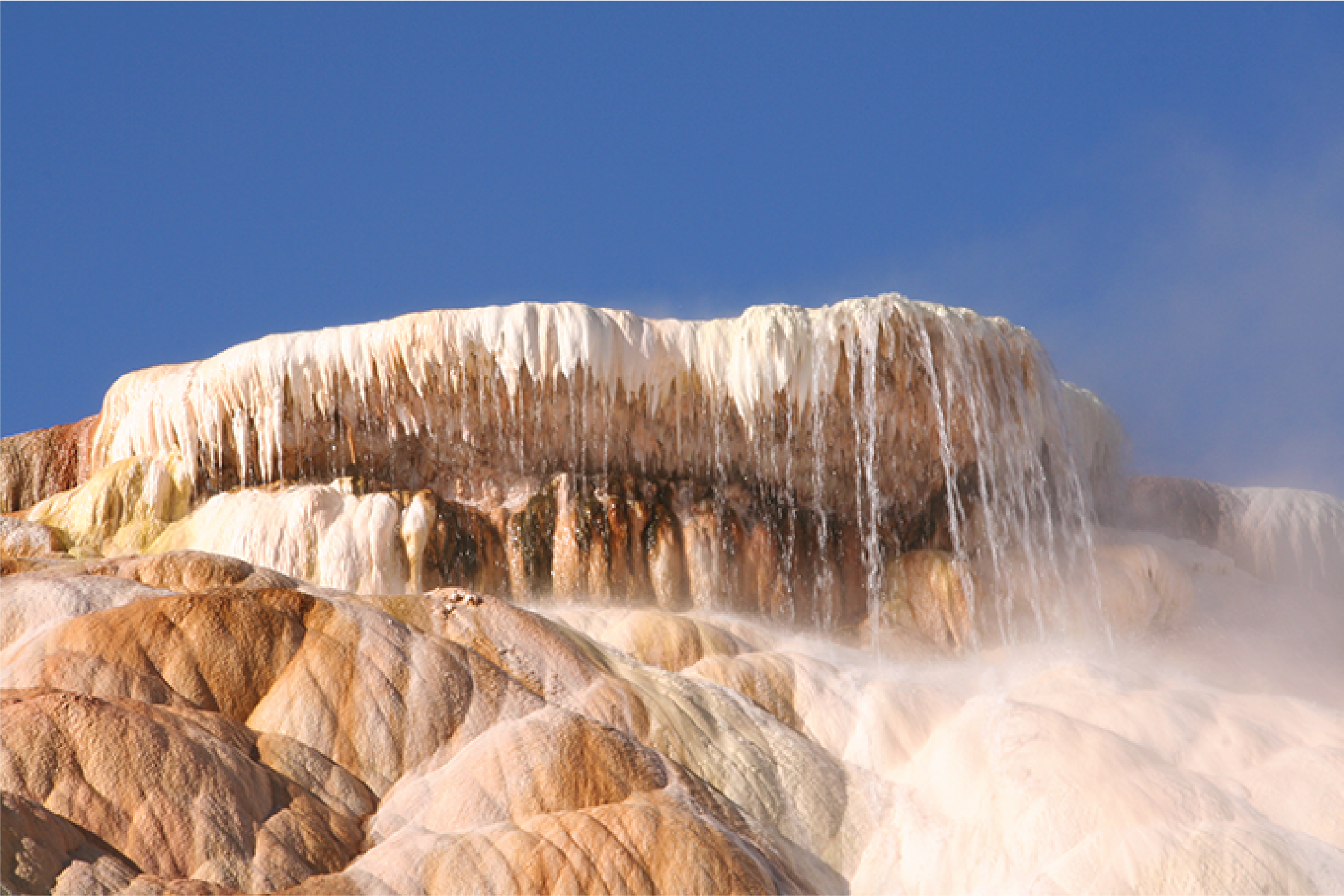 yell hydrothermal feature mammoth hot springs terrace@10x mammoth hot springs terrace