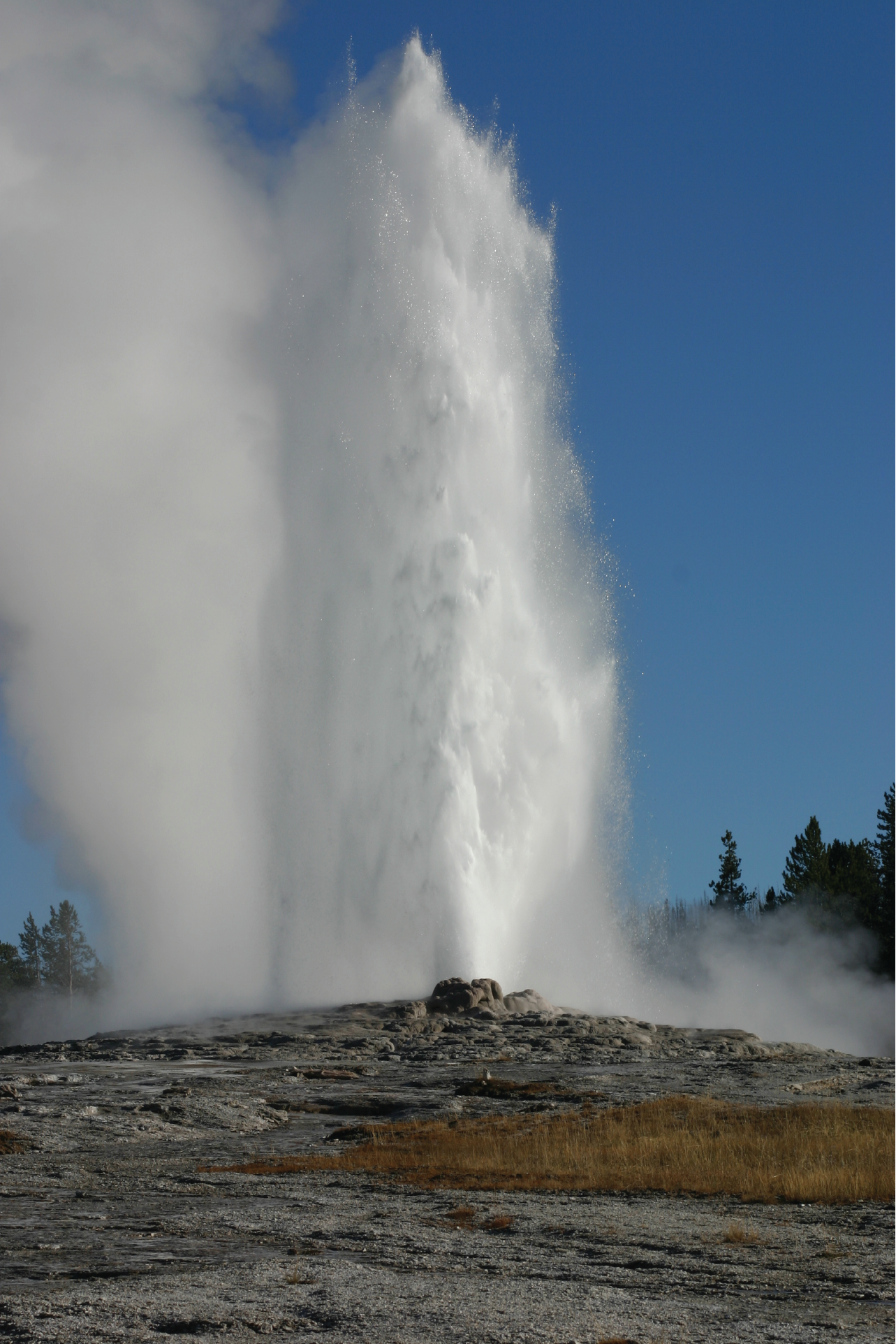 yell hydrothermal features old faithful geyser@10x old faithful geyser erupting