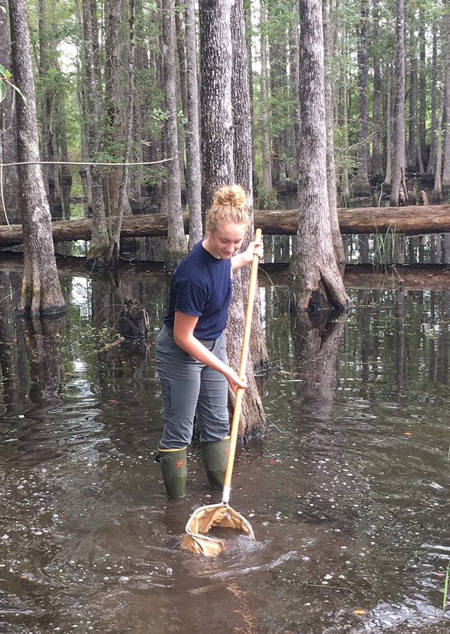 BITH_2017_GIP_Schoenecker_Kristin_Photo_7_crop scientist in swamp collecting sediment sample with a dip pole