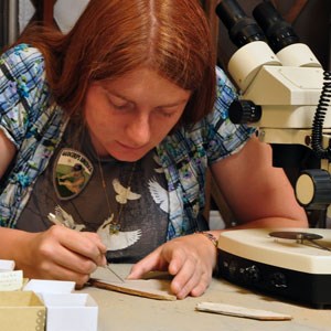 Laura Clarke person working in fossil lab