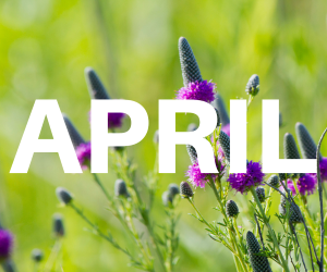 word April over background of purple flowers
