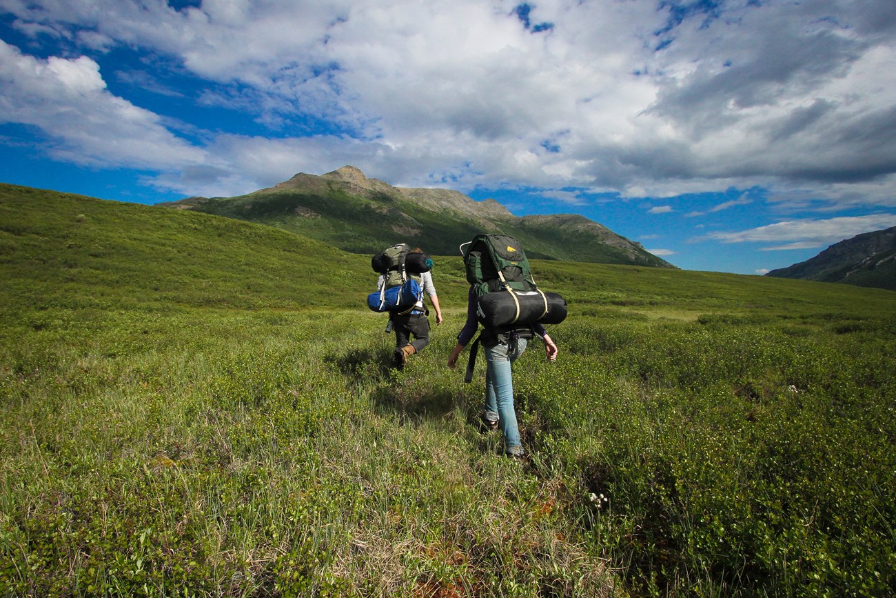 Two Backpackers in a Field at Denali National Park