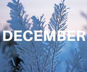 December word December over background of frozen leaves