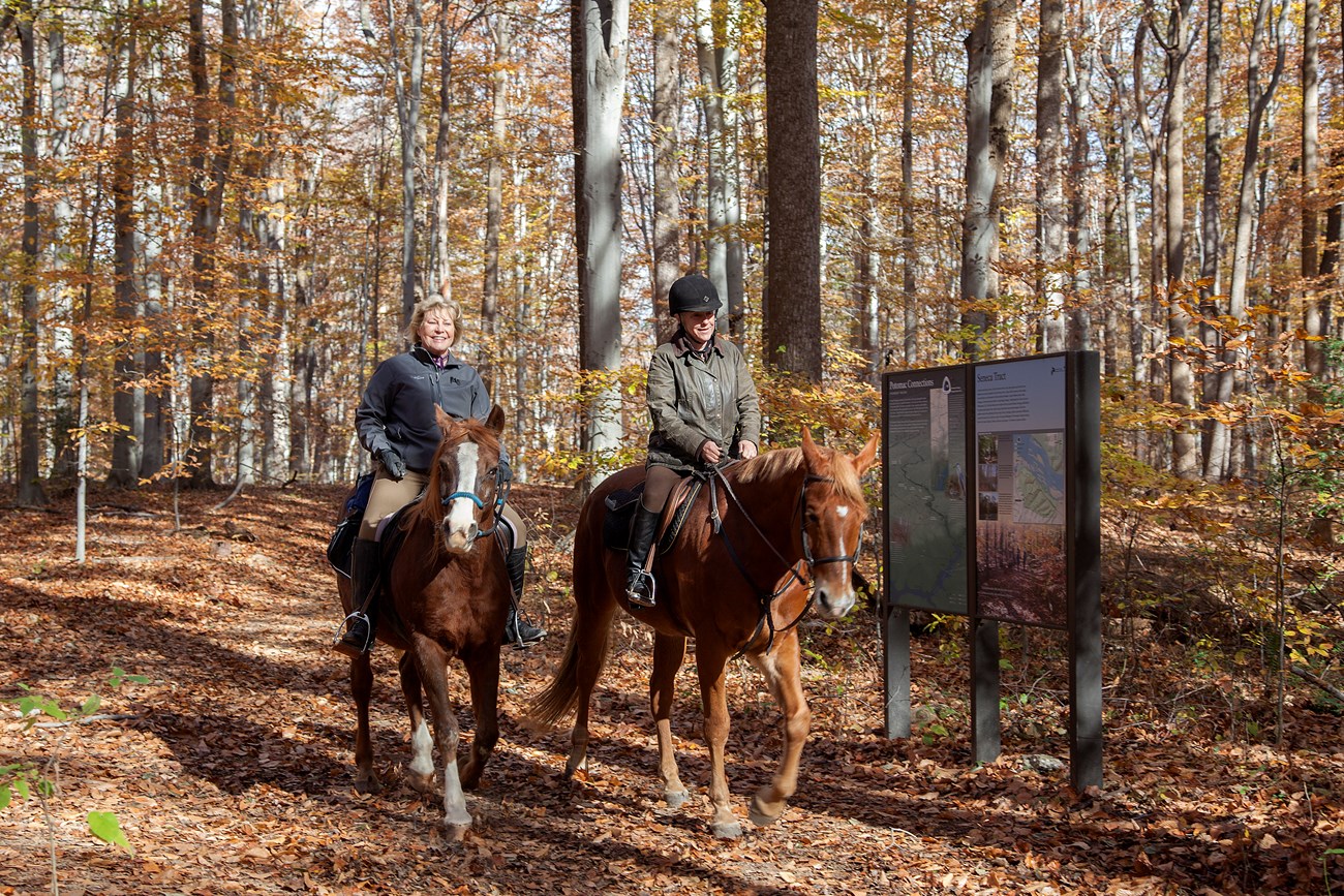 Quit horsing around, get healthy in nature!