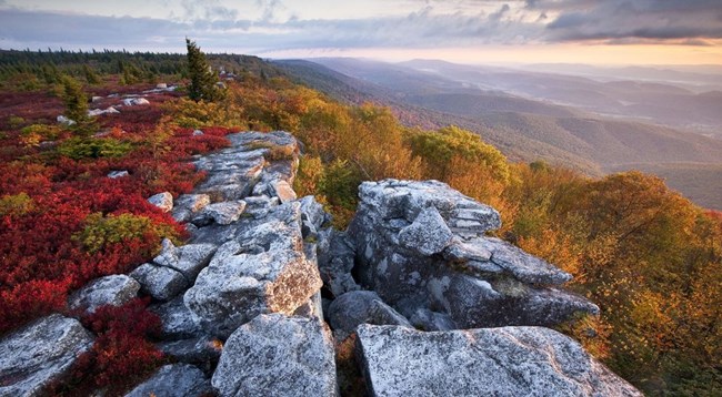Red leaves on left side of landscape give way to grey cliffs in middle of photo and gold leaves on other side.