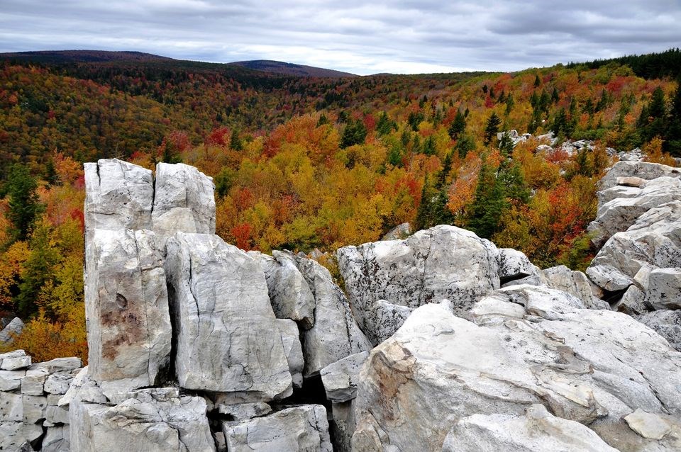 Grey stone cliffs and yellow leaves in front