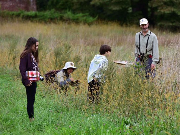 The Great Walden BioBlitz (Courtesy of the Walden Woods Project) Three children and an adult walk in tall grass