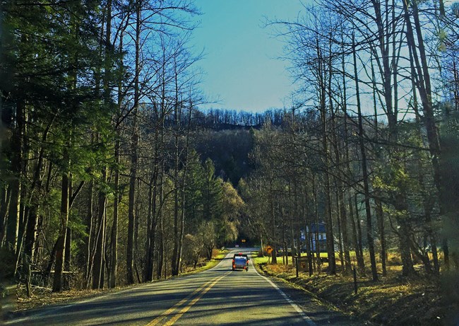 A road through the Appalachian forest with a car on it.