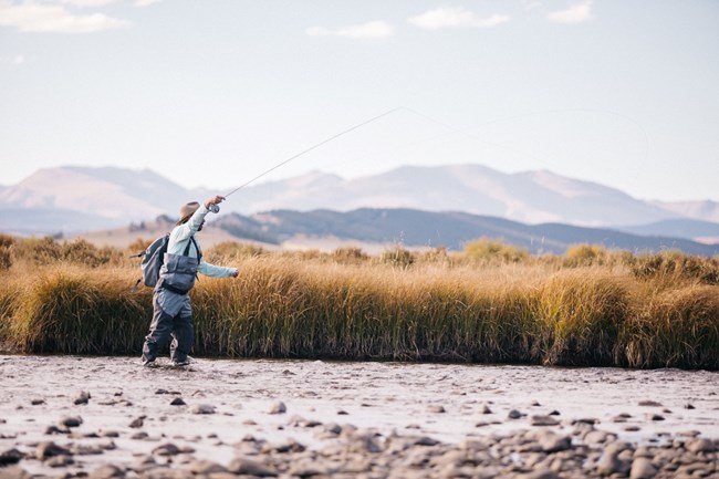 A man in front of grey mountains fly fishes in a rocky creek, with golden grasses behind him.