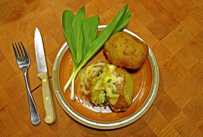 Potatoes stuffed with chopped ramps, on a plate, covered in shredded cheese and beside two raw ramps.