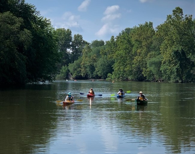 Four kayakers on a green river with blue sky above and green trees around.