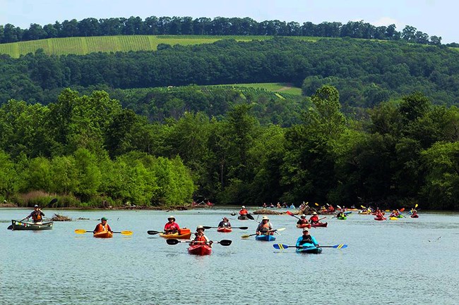 A group of kayakers float on the Schuylkill river, with lush green hills and forests behind them.