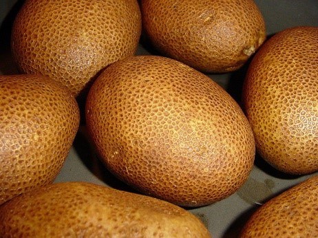 Russet Potatoes Six russet potatoes