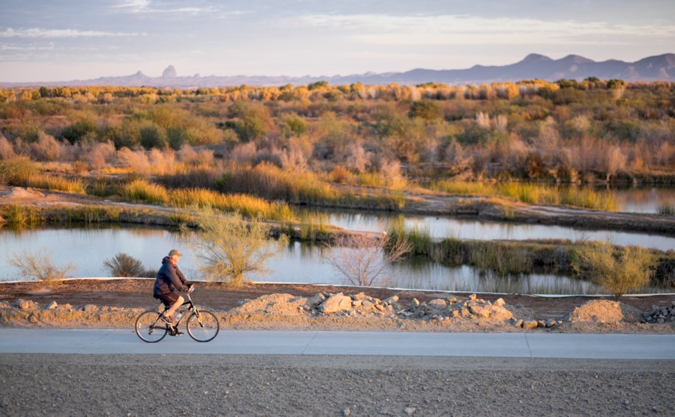 Man on a bicycle riding past wetlands with mountains in the distance