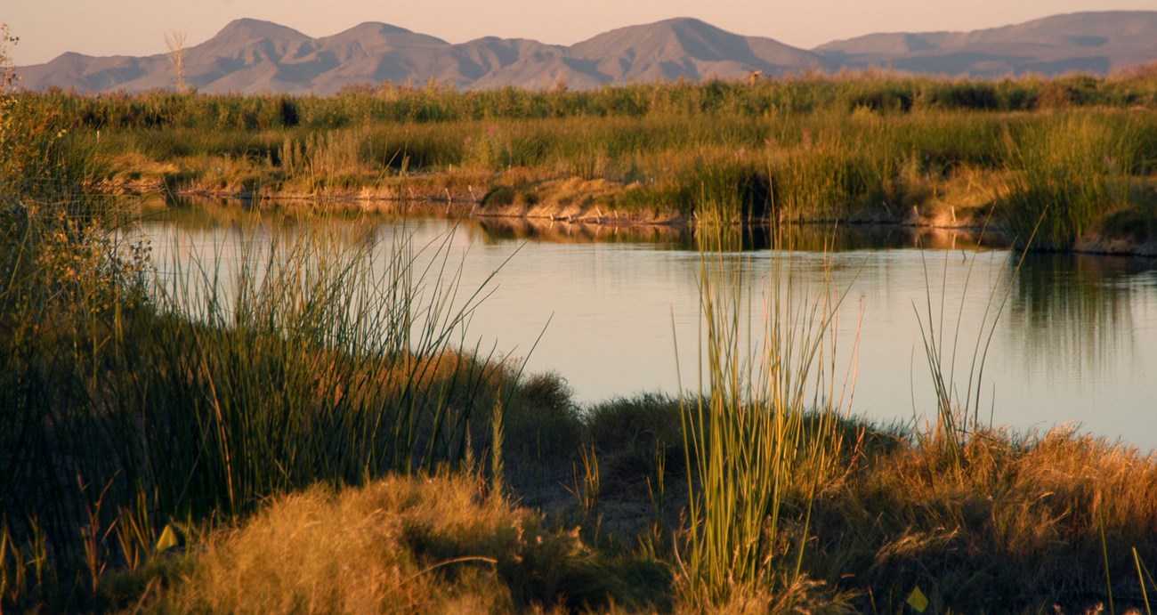 Marshland along a river with mountains in the distance